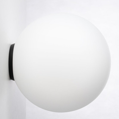 Настенно-потолочный светильник Ron CL941D25B5