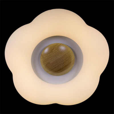 Потолочный светильник  01014-0.3-01 WOOD