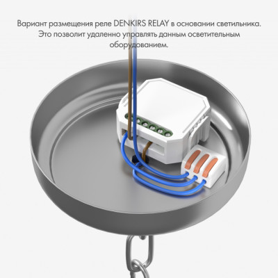 Wi-Fi реле Relay RL1003-DM/1