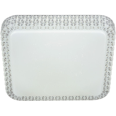 Потолочный светильник  07197-9.2-48WM