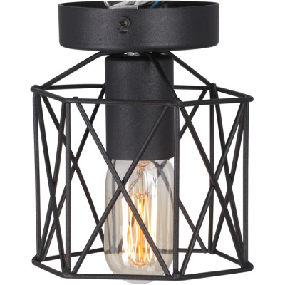 Потолочный светильник  V4382-1/1PL