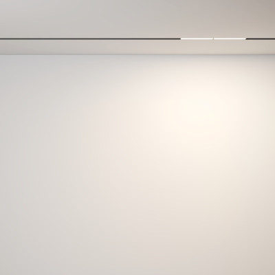 Трековый светильник Parete TR106-2-12W3K-B